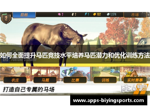 如何全面提升马匹竞技水平培养马匹潜力和优化训练方法