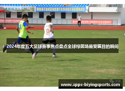 2024年度五大足球赛事焦点盘点全球绿茵场最受瞩目的瞬间