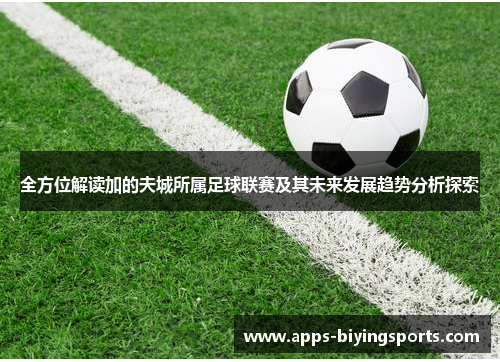 全方位解读加的夫城所属足球联赛及其未来发展趋势分析探索 全方位解读加的夫城所属足球联赛及其未来发展趋势分析探索